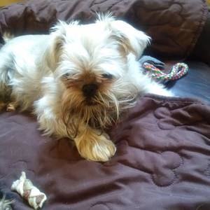 Meet your Posher, Susan